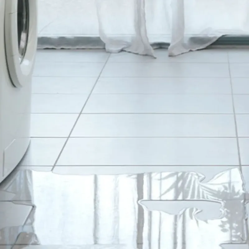 Appliance Leak Cleanup in Van, TX