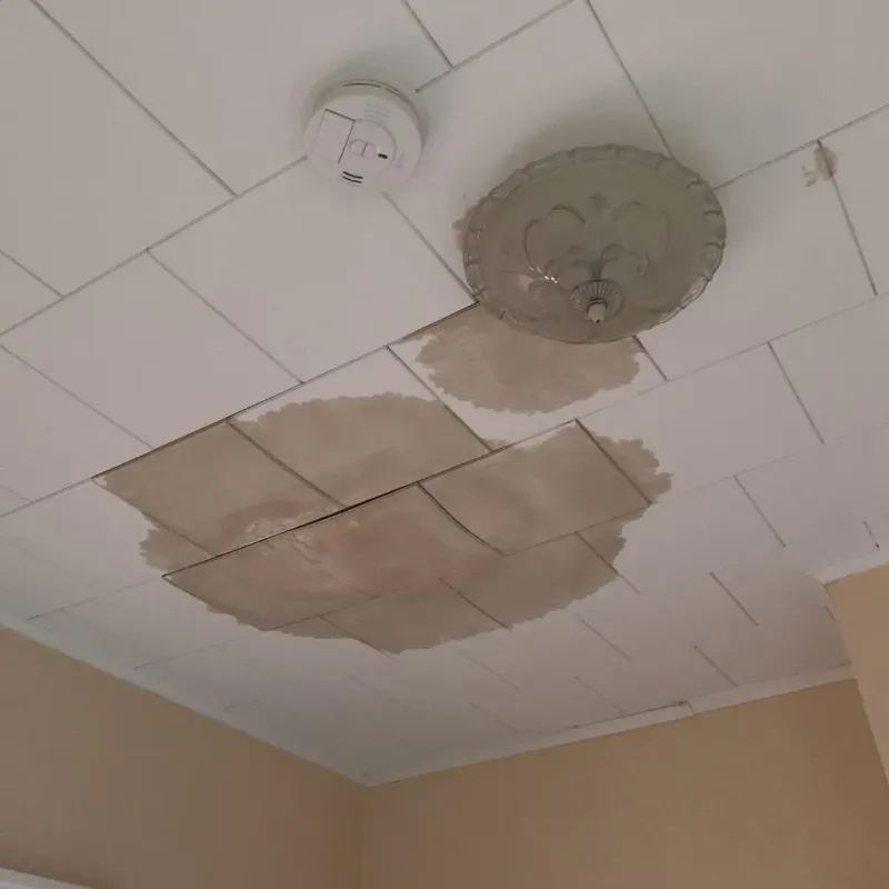 Ceiling Water Damage Repair in Van, TX