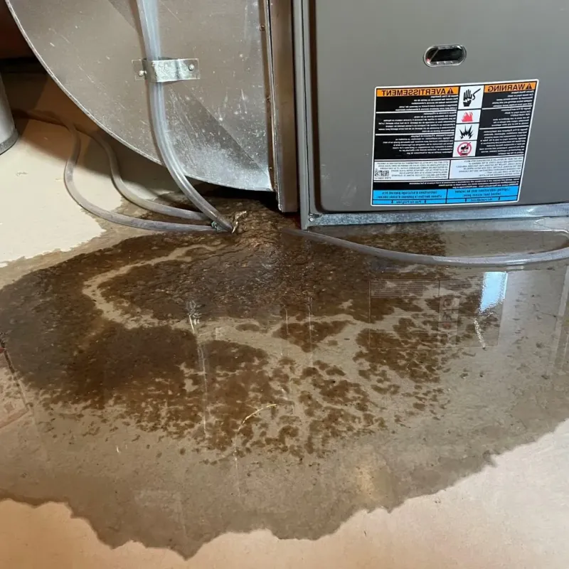 Pipe Burst and Leak Restoration in Van, TX