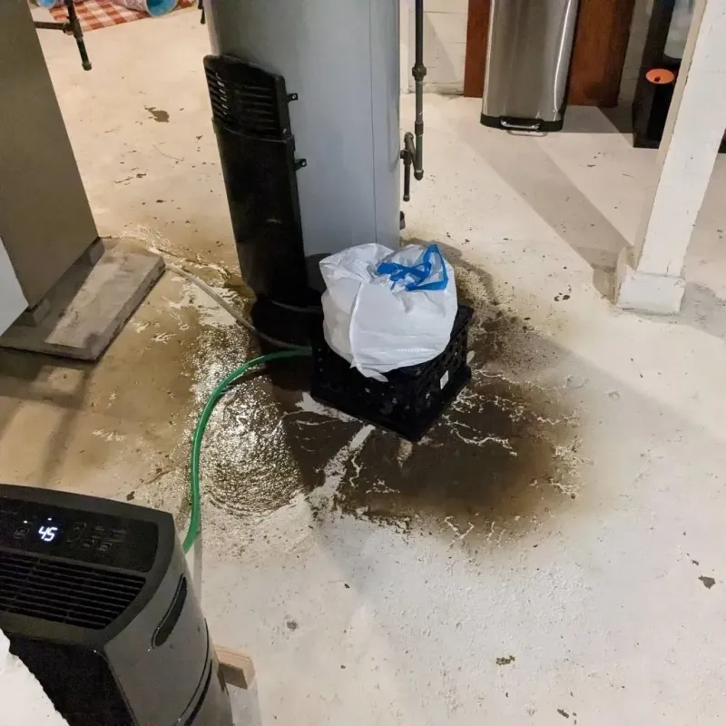 Sewage Backup Cleanup Service in Van, TX